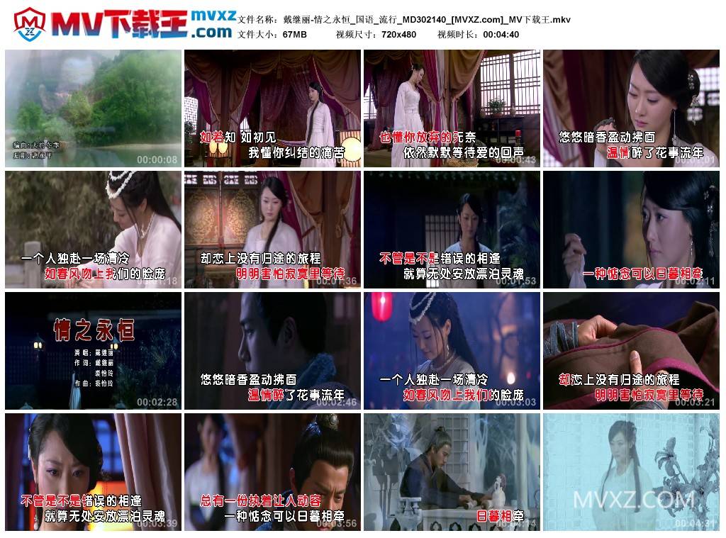 戴继丽-情之永恒_国语_流行_MD302140